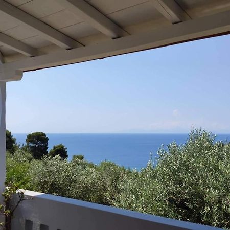 Elia House 1 Astoning Sea View Among The Olive Trees Apartment Патитири Екстериор снимка