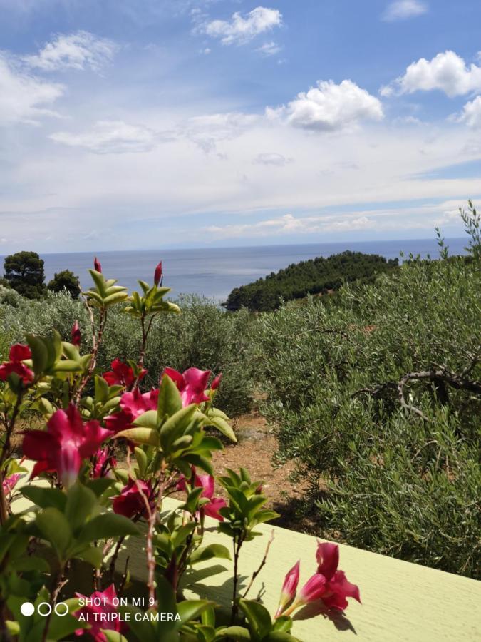 Elia House 1 Astoning Sea View Among The Olive Trees Apartment Патитири Екстериор снимка