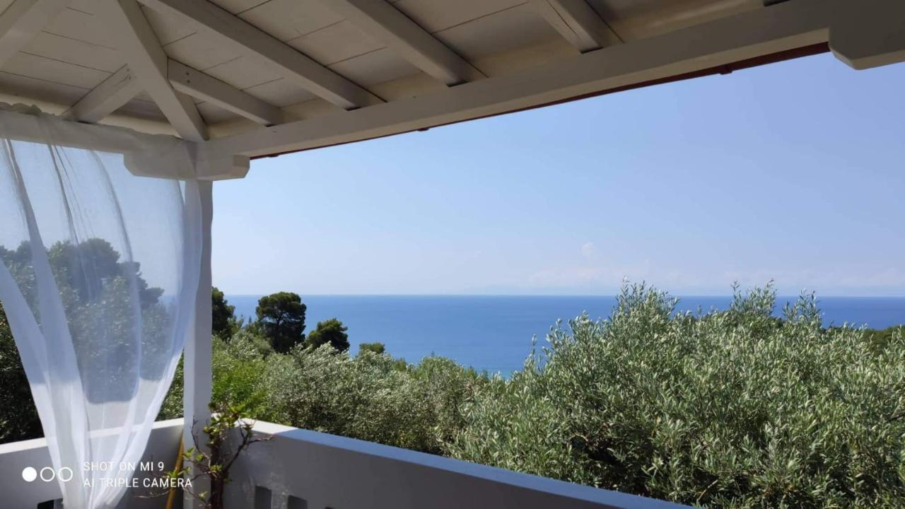 Elia House 1 Astoning Sea View Among The Olive Trees Apartment Патитири Екстериор снимка