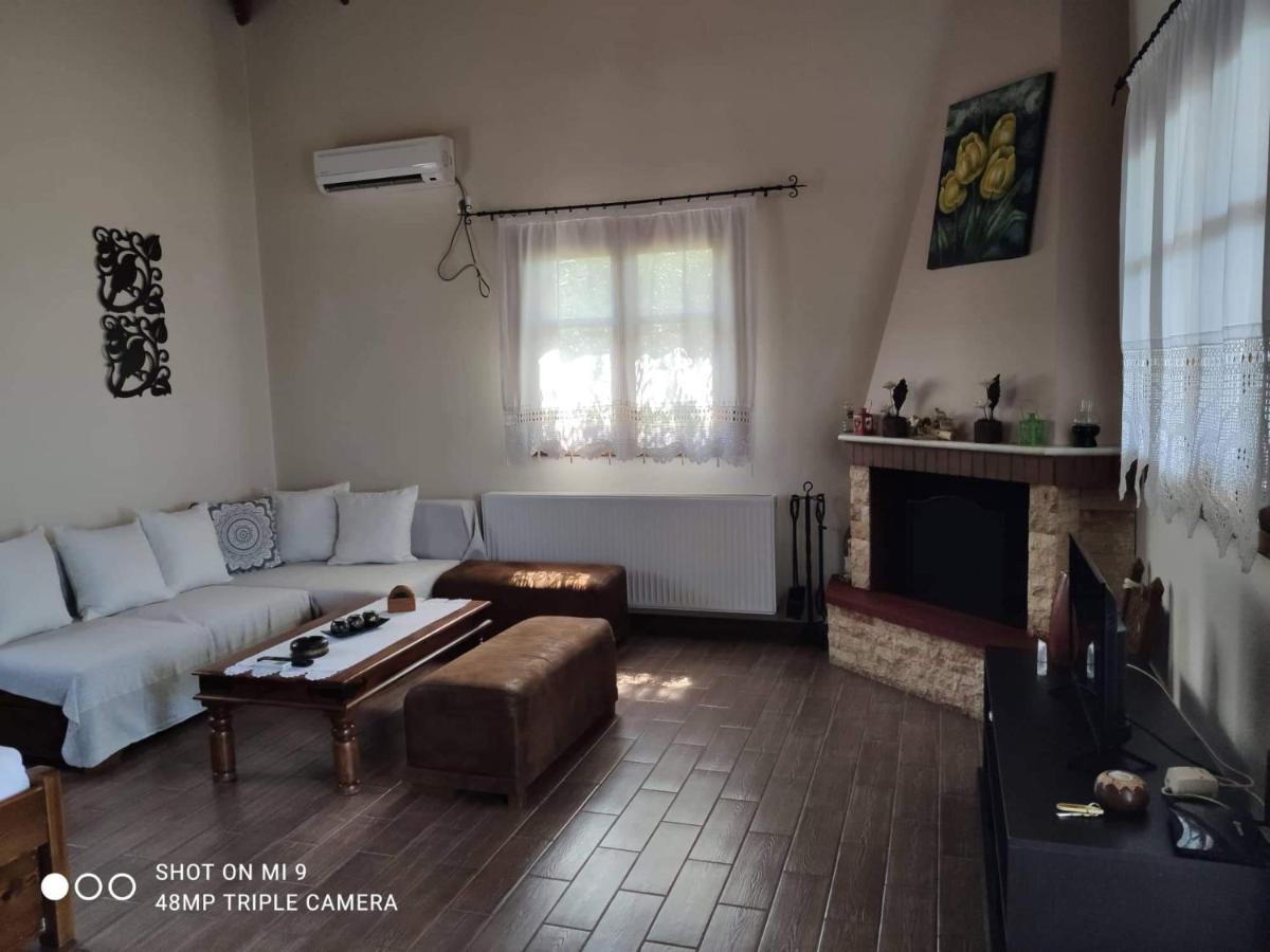 Elia House 1 Astoning Sea View Among The Olive Trees Apartment Патитири Екстериор снимка