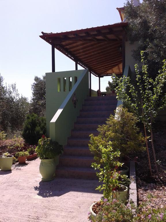 Elia House 1 Astoning Sea View Among The Olive Trees Apartment Патитири Екстериор снимка